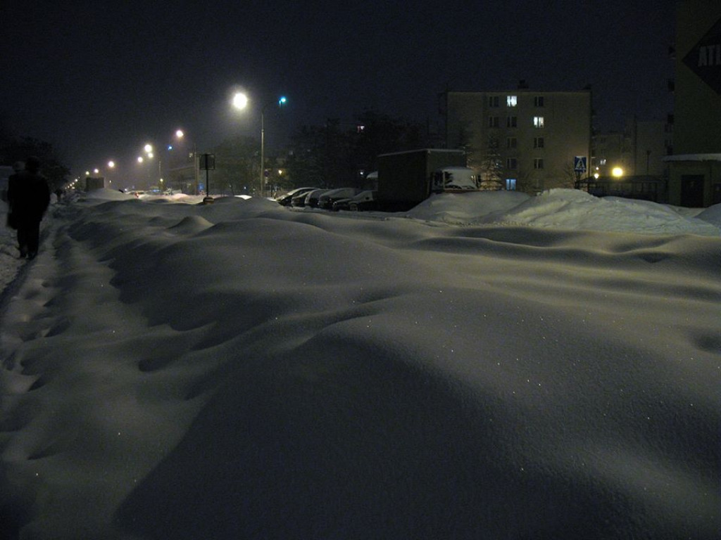 Zima w Radzyniu w 2010 roku