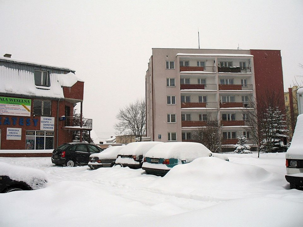 Zima w Radzyniu w 2010 roku