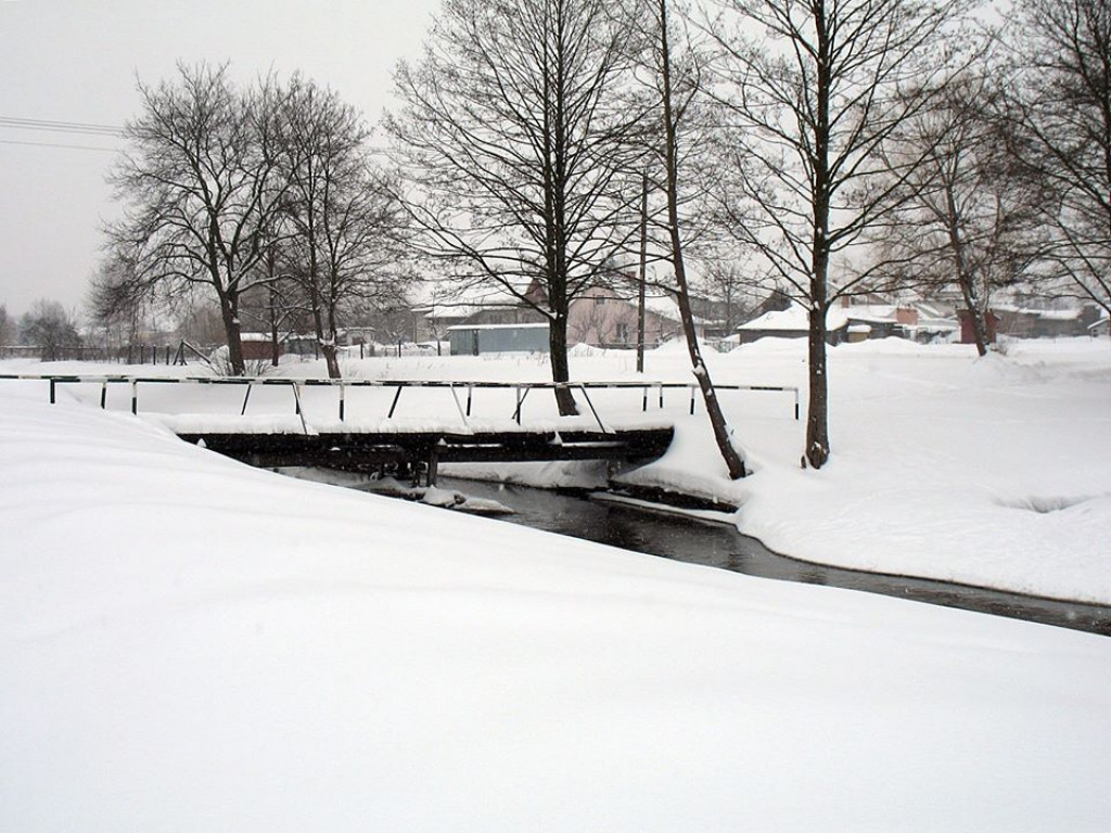 Zima w Radzyniu w 2010 roku