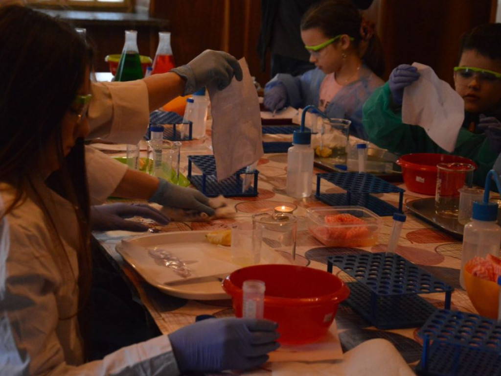 Warsztaty laboratoryjne w ROK-u