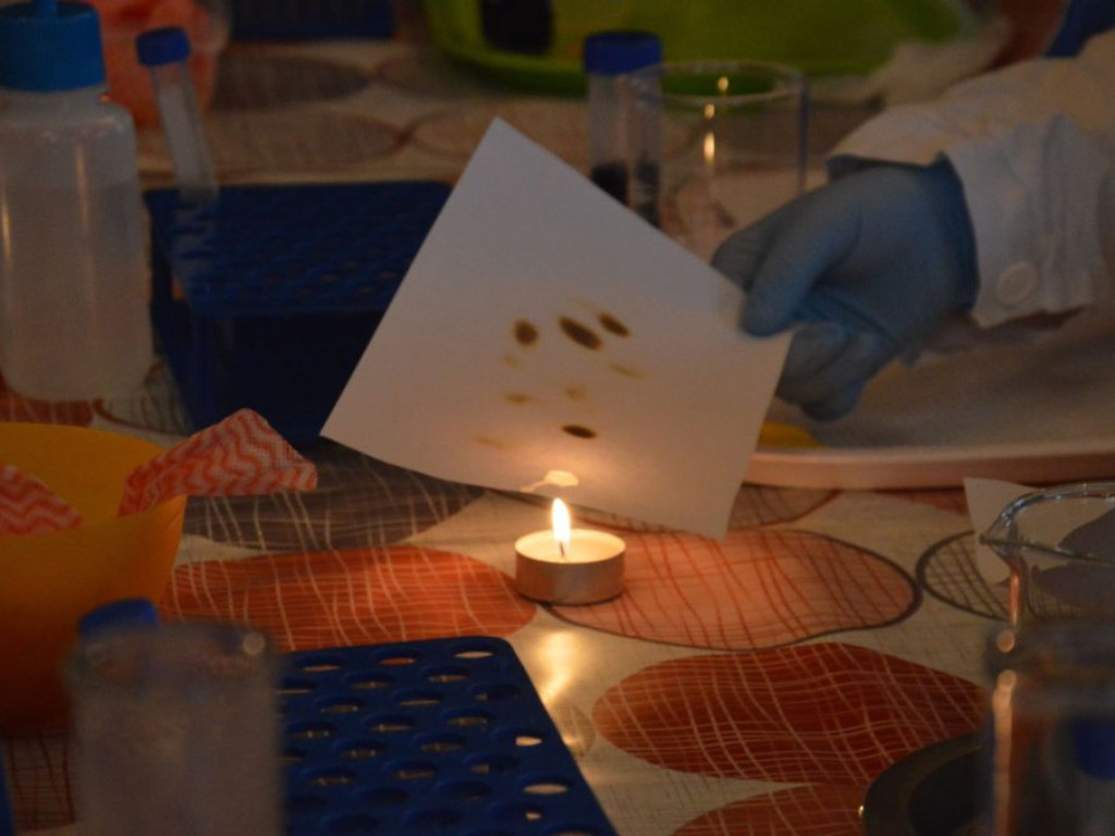 Warsztaty laboratoryjne w ROK-u