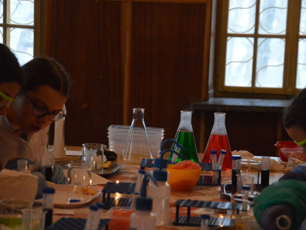 Warsztaty laboratoryjne w ROK-u