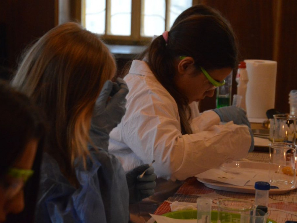 Warsztaty laboratoryjne w ROK-u