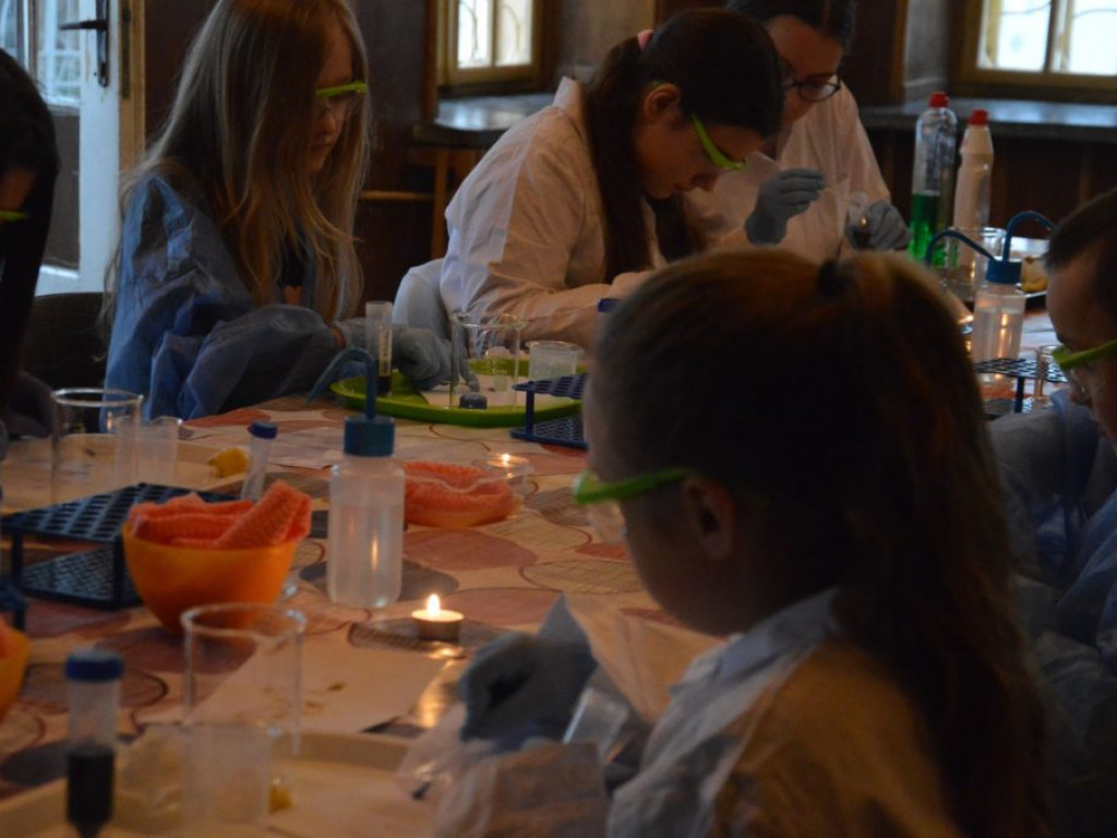 Warsztaty laboratoryjne w ROK-u