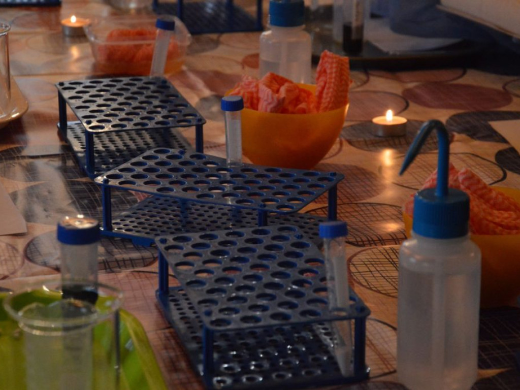 Warsztaty laboratoryjne w ROK-u