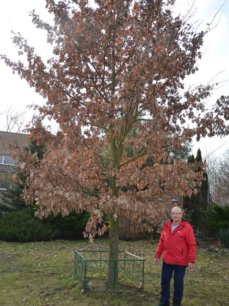 Zbliża się jubileusz 45-lecia klubu honorowych krwiodawców