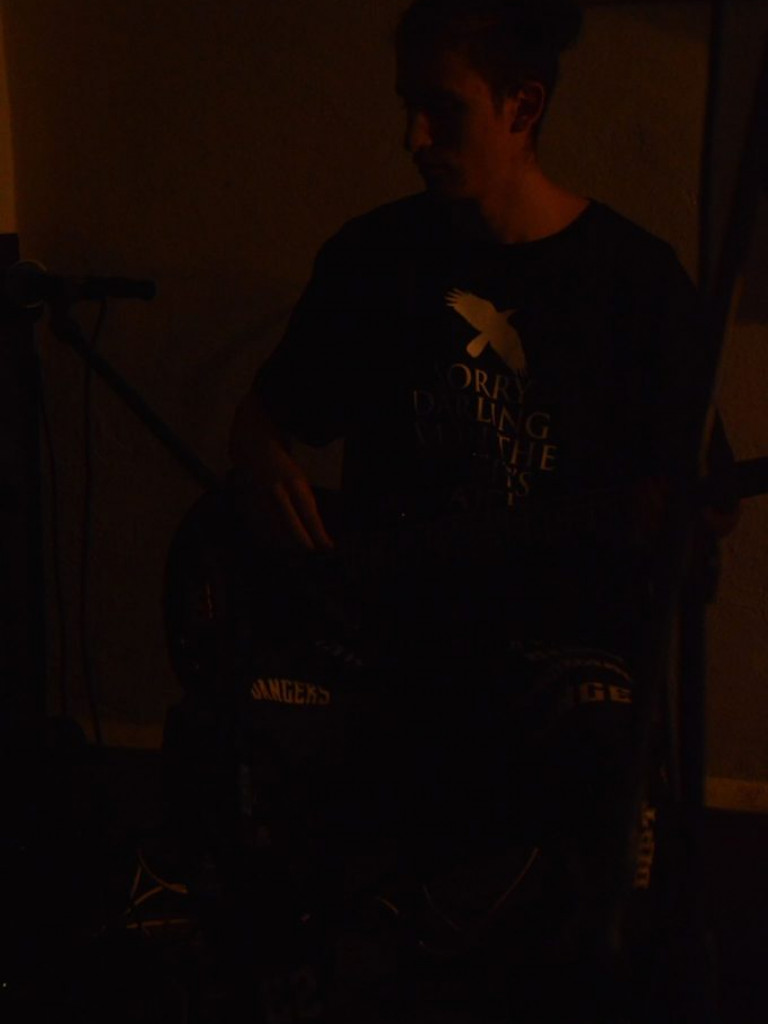 Koncert zespołu Staplers