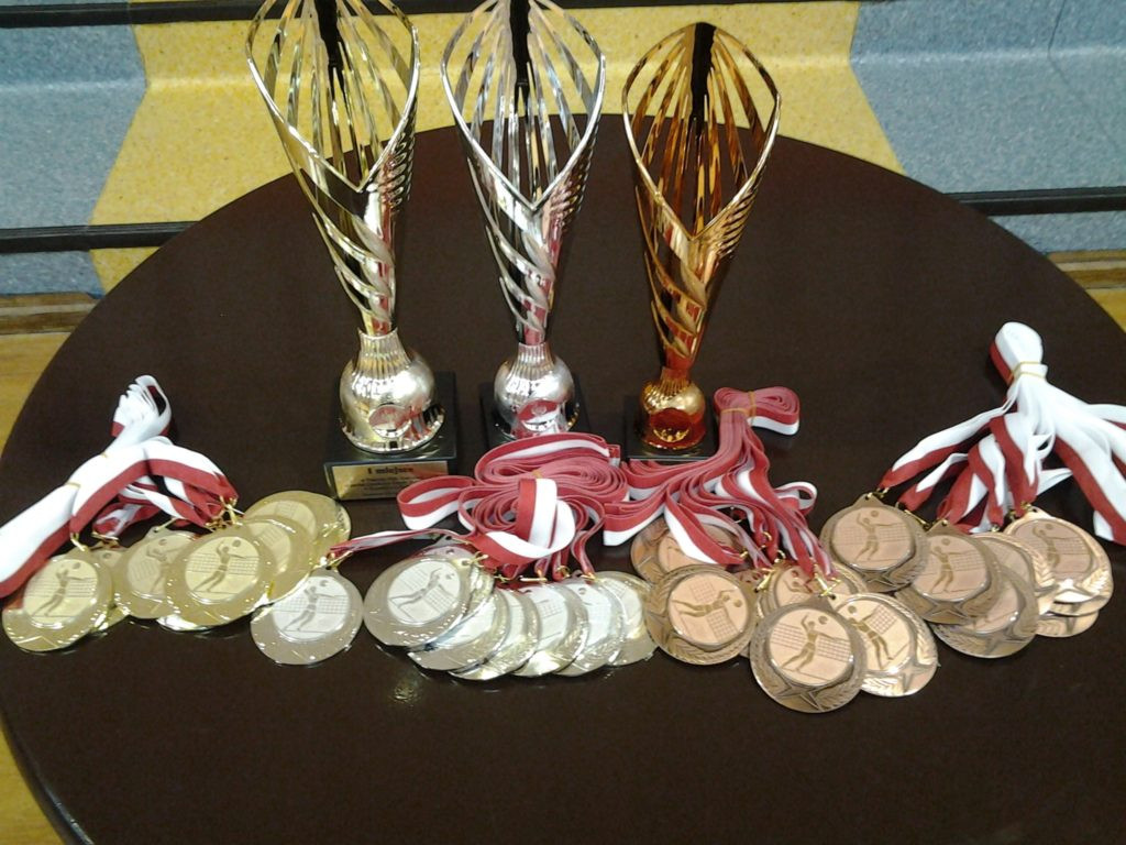 Turniej Piłki Siatkowej Kobiet o Puchar Dyrektora Szkoły Podstawowej w Komarówce P.