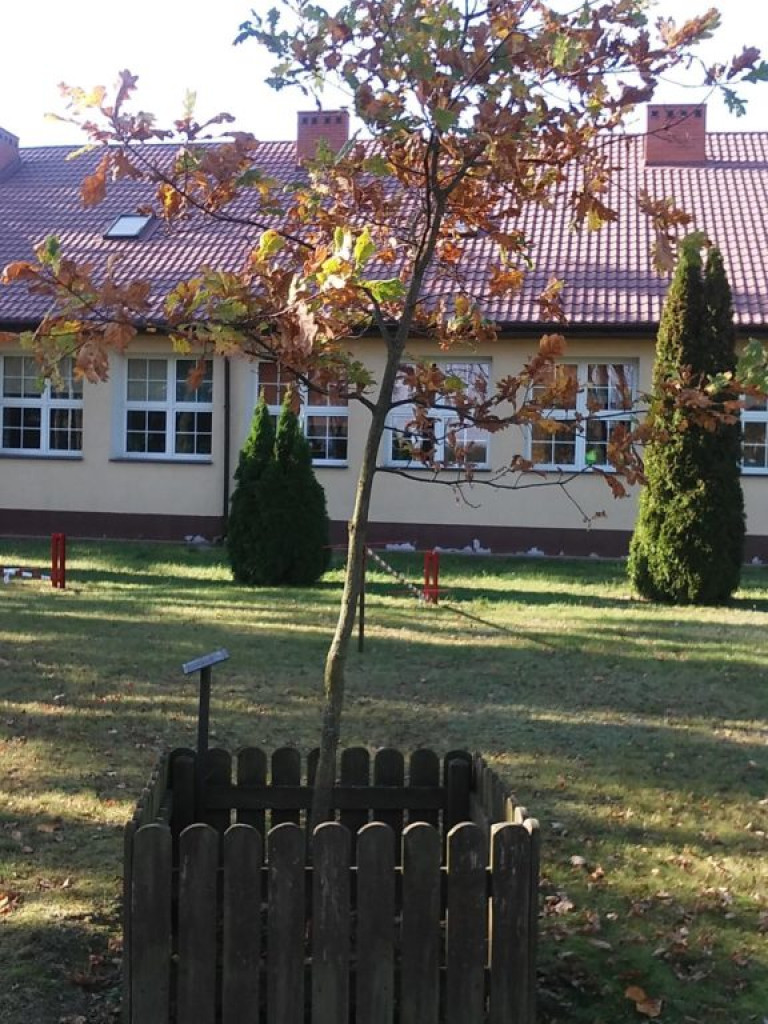 Historia Szkoły Podstawowej w Turowie