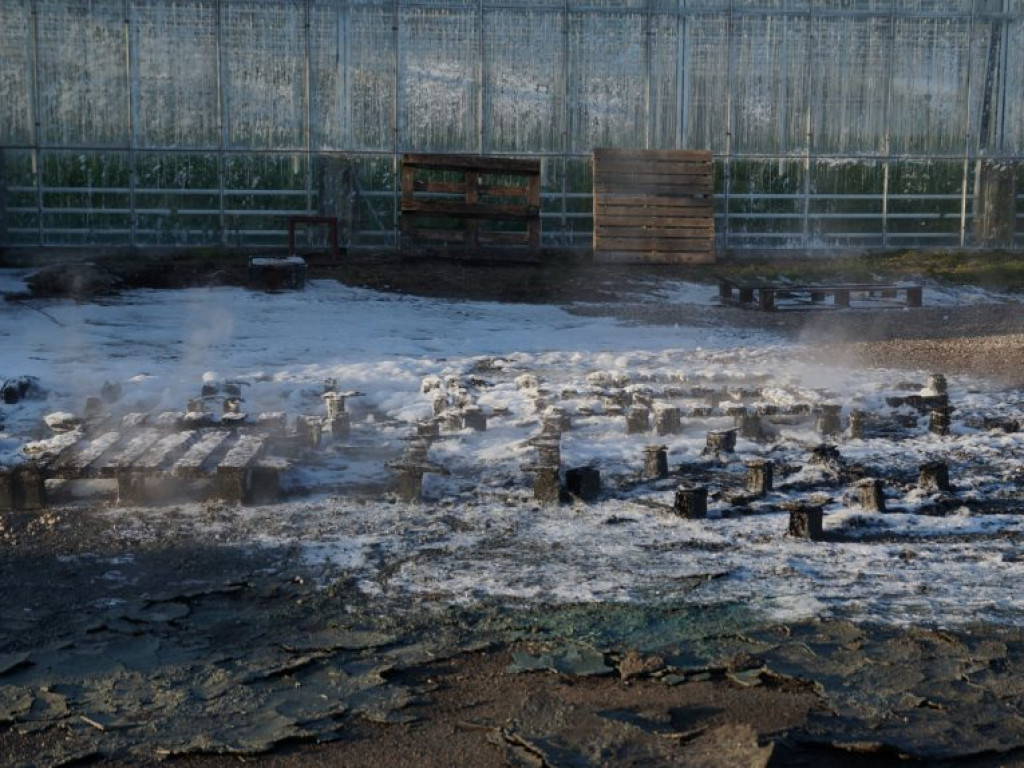 Pożar na ul. Polnej