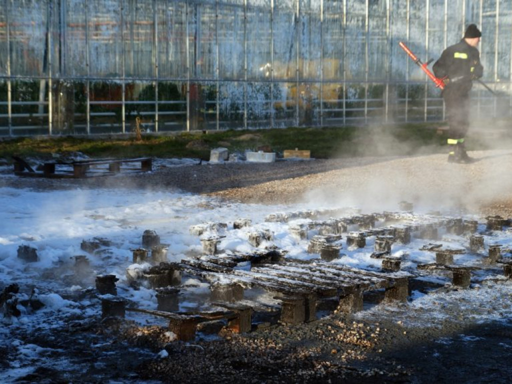 Pożar na ul. Polnej