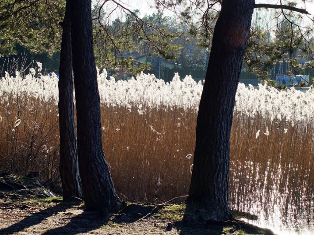 Białka koło Parczewa 15 marca - zdjęcia