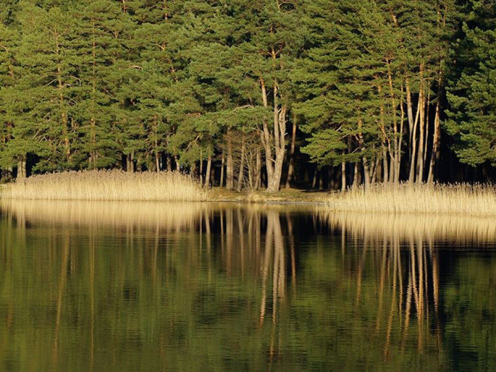 Białka koło Parczewa 15 marca - zdjęcia