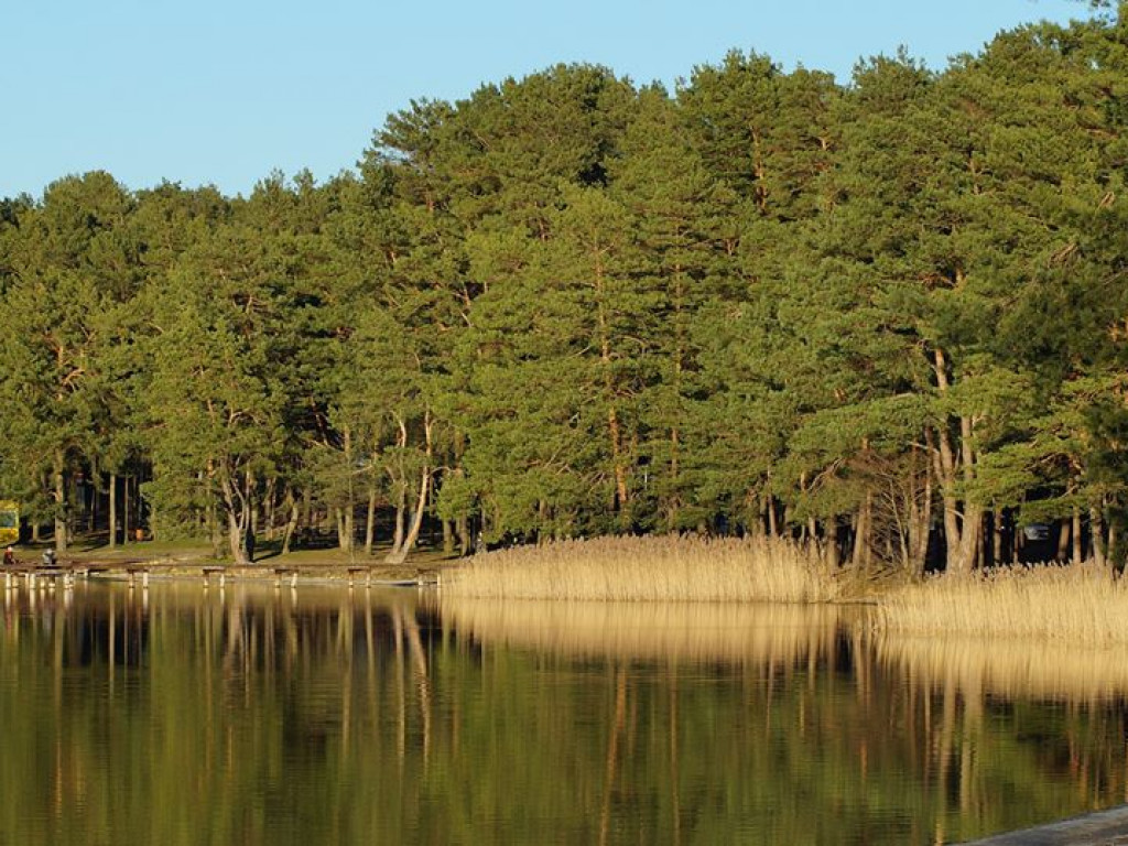Białka koło Parczewa 15 marca - zdjęcia