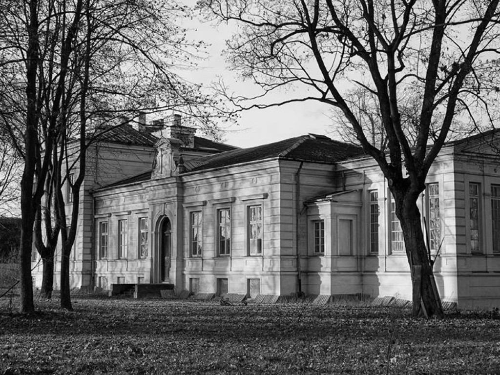 Borki - zdjęcia