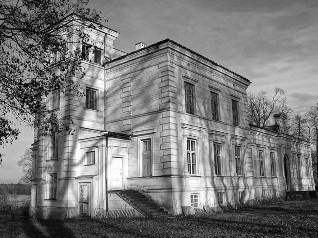 Borki - zdjęcia