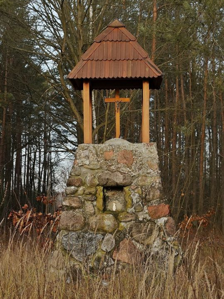 Borki - zdjęcia