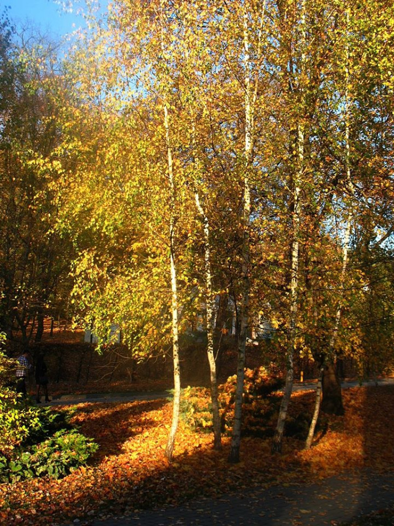 Nałęczów - zdjęcia