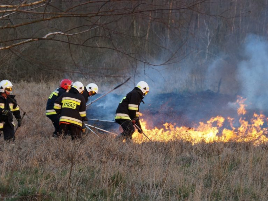 Pożar w Świerżach