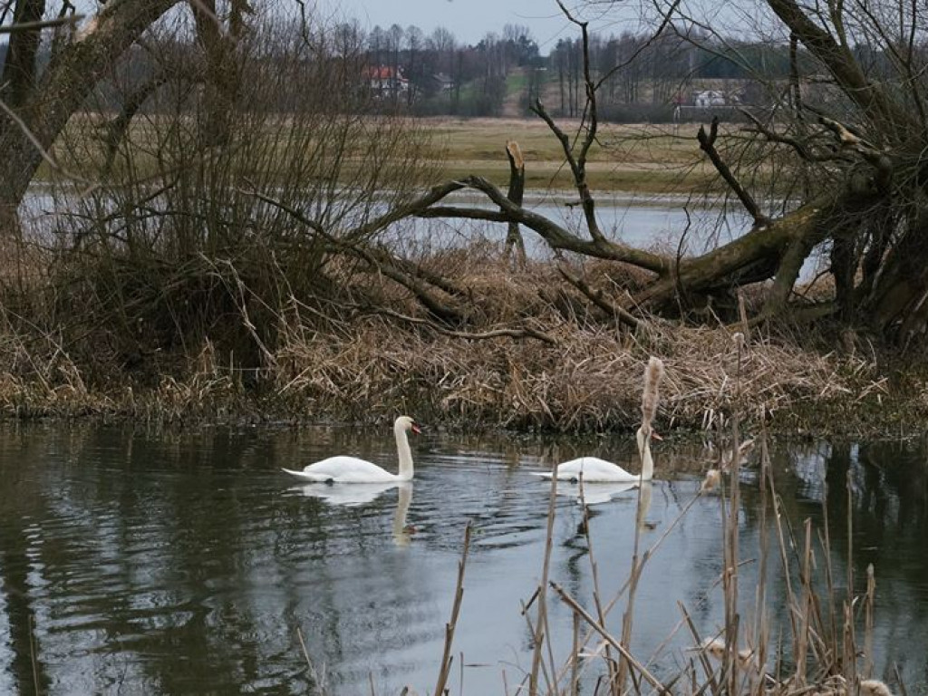 Początki wiosny nad Wieprzem i Bystrzycą