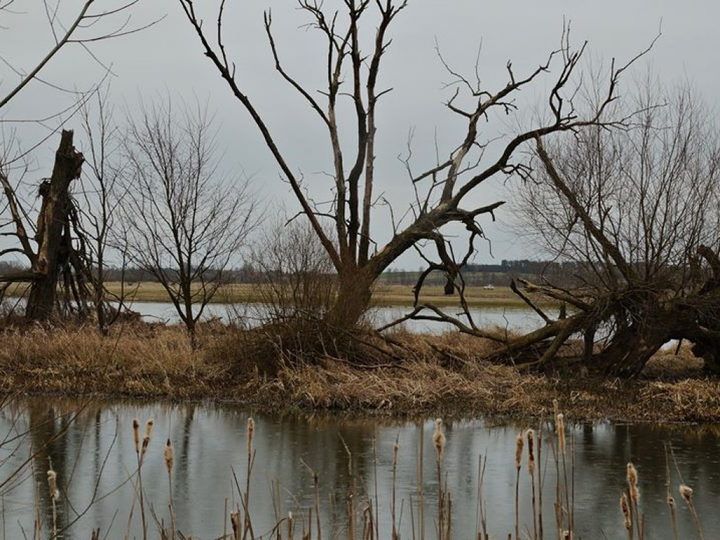 Początki wiosny nad Wieprzem i Bystrzycą