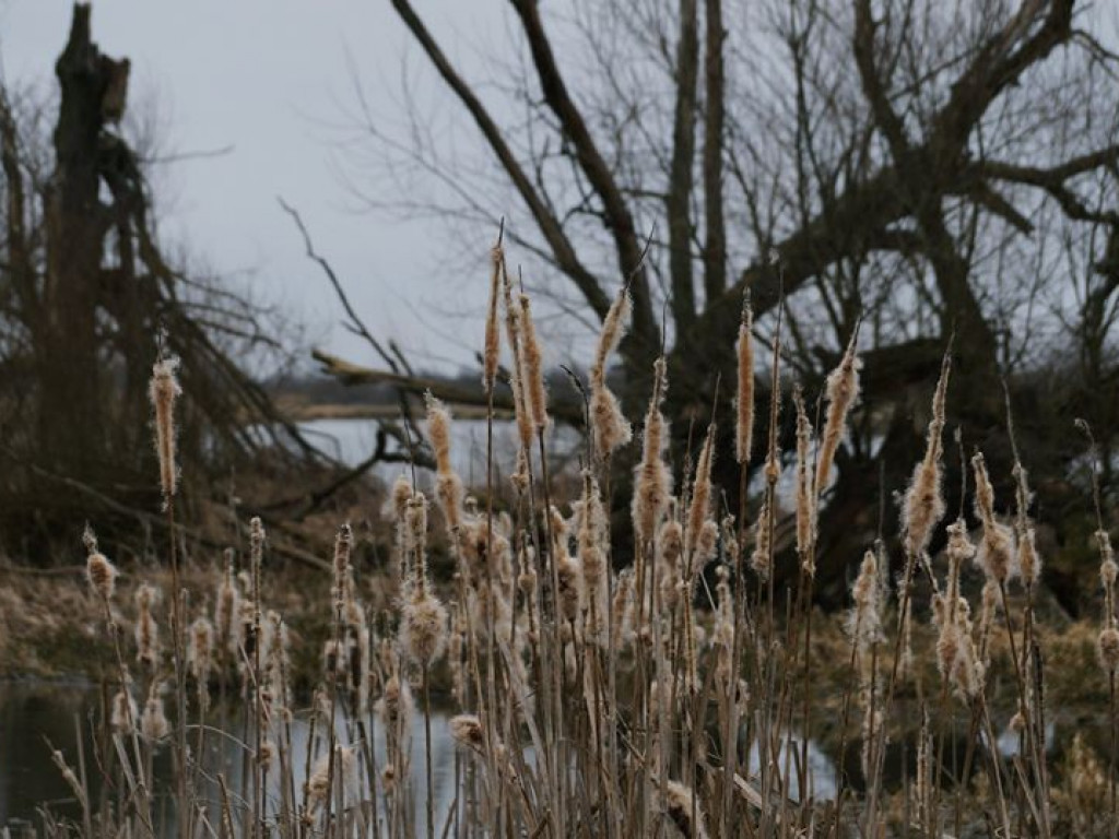 Początki wiosny nad Wieprzem i Bystrzycą