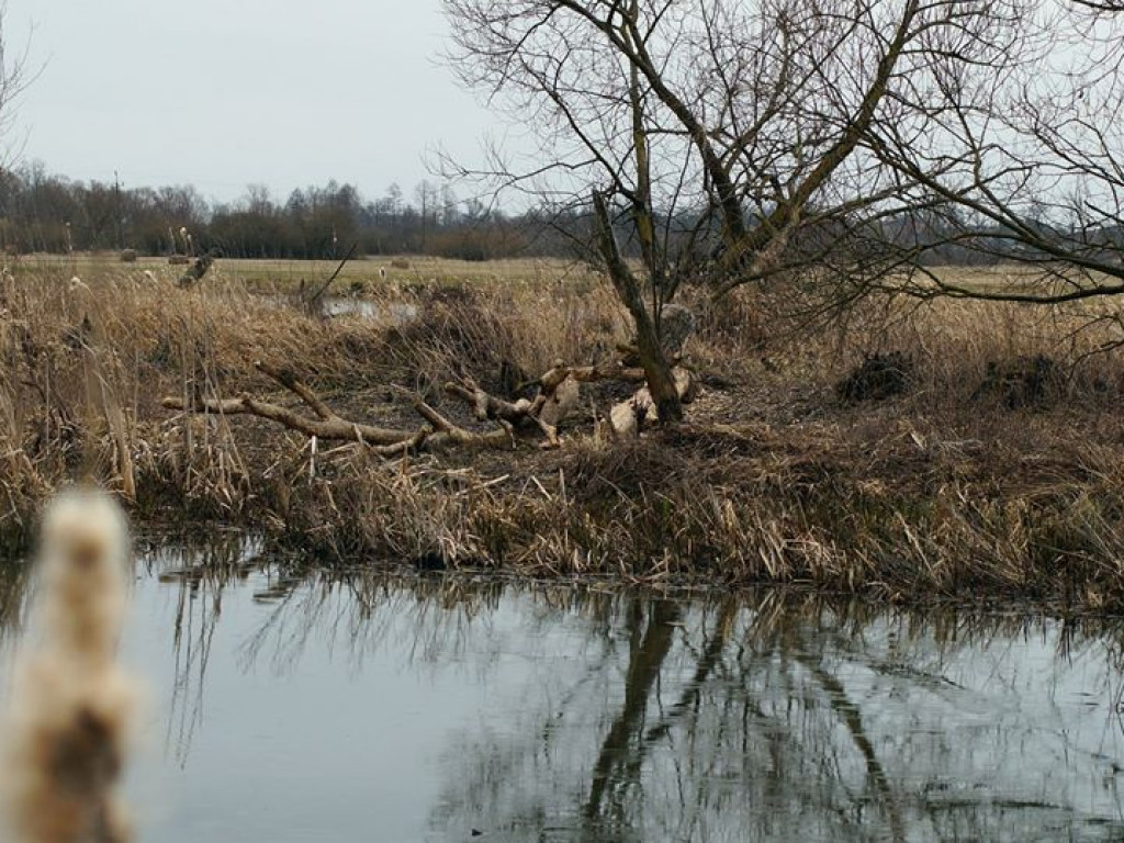 Początki wiosny nad Wieprzem i Bystrzycą