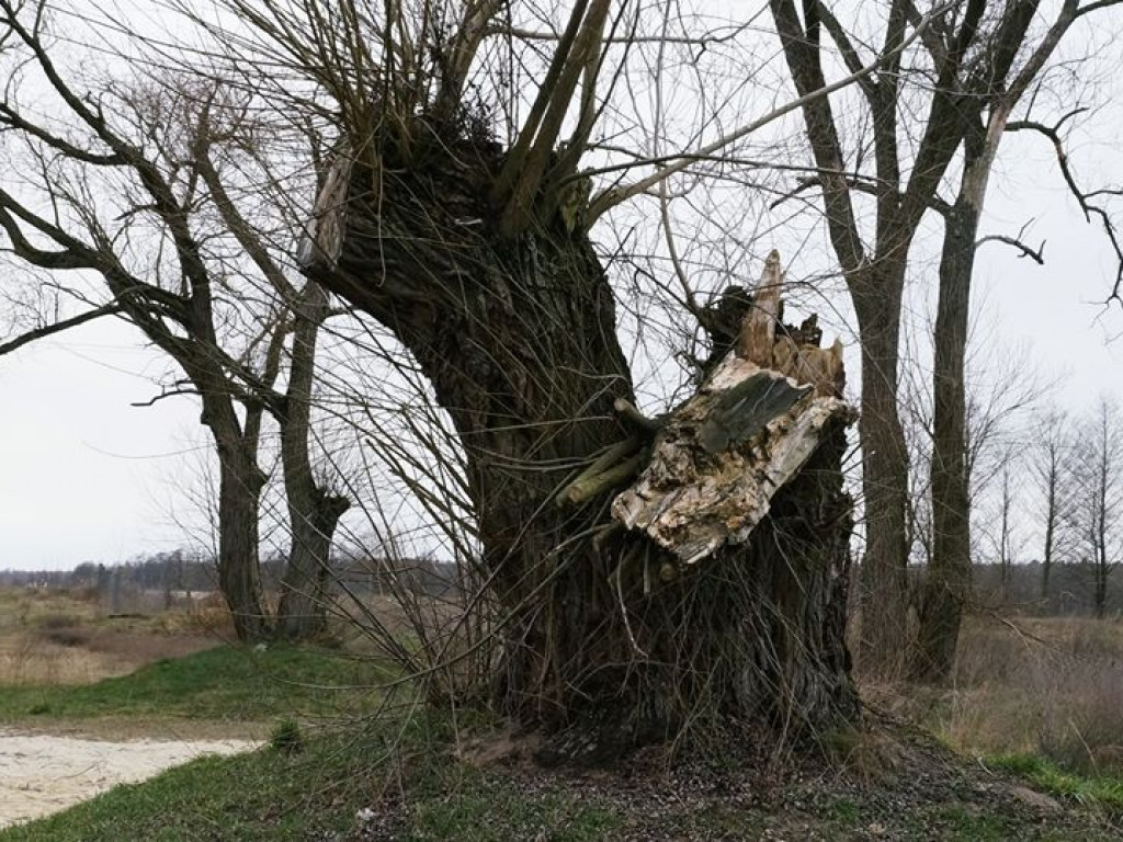 Początki wiosny nad Wieprzem i Bystrzycą
