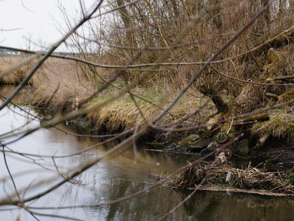 Początki wiosny nad Wieprzem i Bystrzycą
