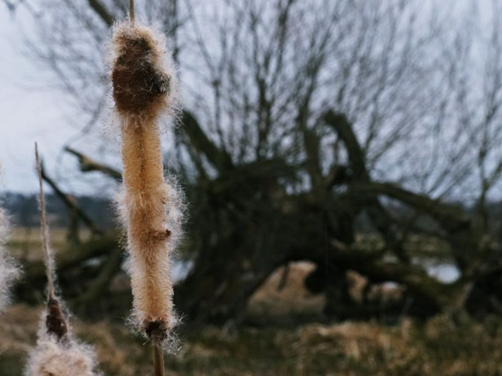 Początki wiosny nad Wieprzem i Bystrzycą
