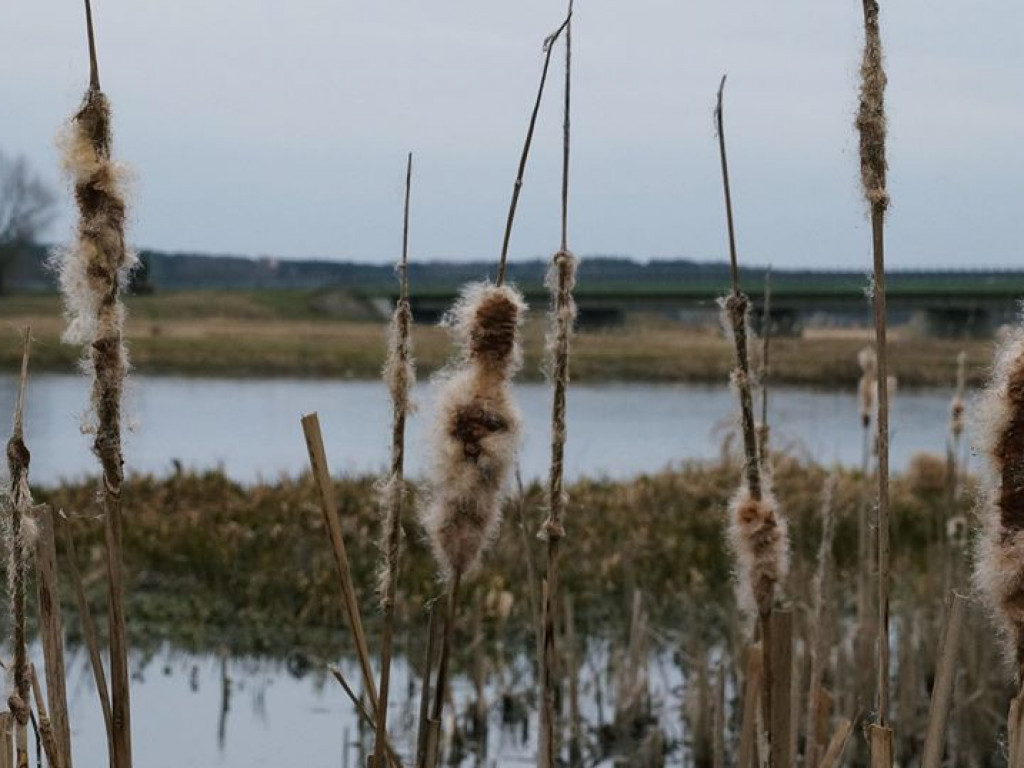 Początki wiosny nad Wieprzem i Bystrzycą