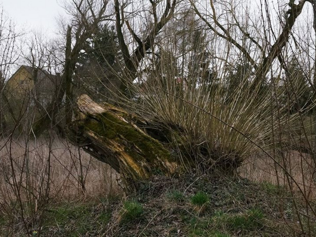 Początki wiosny nad Wieprzem i Bystrzycą