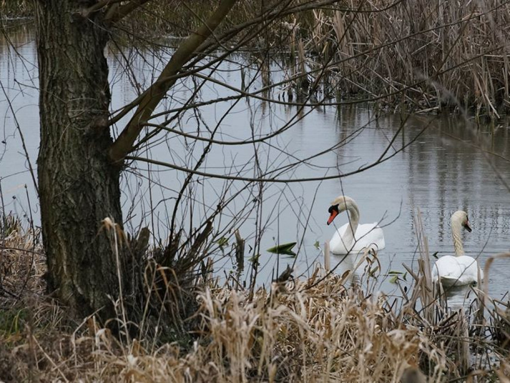 Początki wiosny nad Wieprzem i Bystrzycą