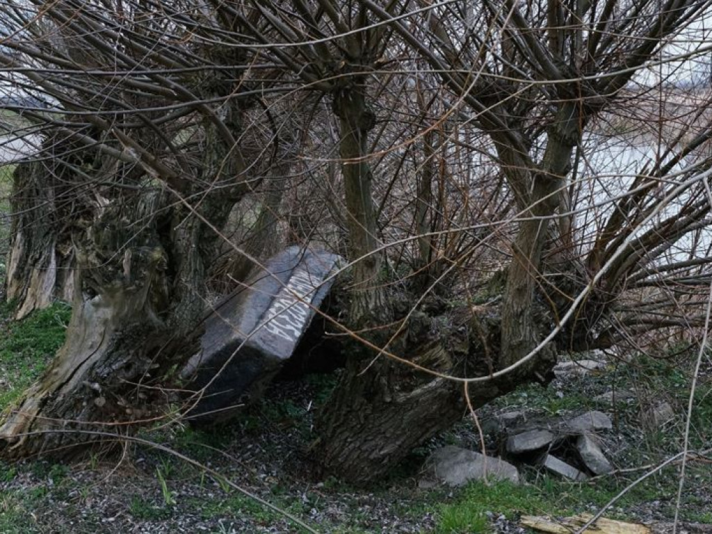 Początki wiosny nad Wieprzem i Bystrzycą