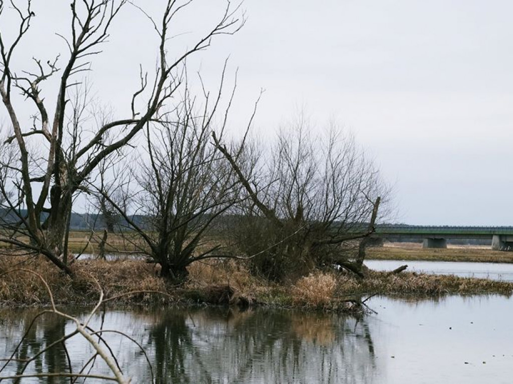Początki wiosny nad Wieprzem i Bystrzycą