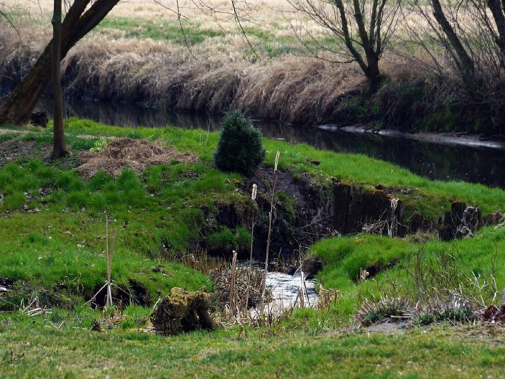 Borowe nad Bystrzycą - zdjęcia