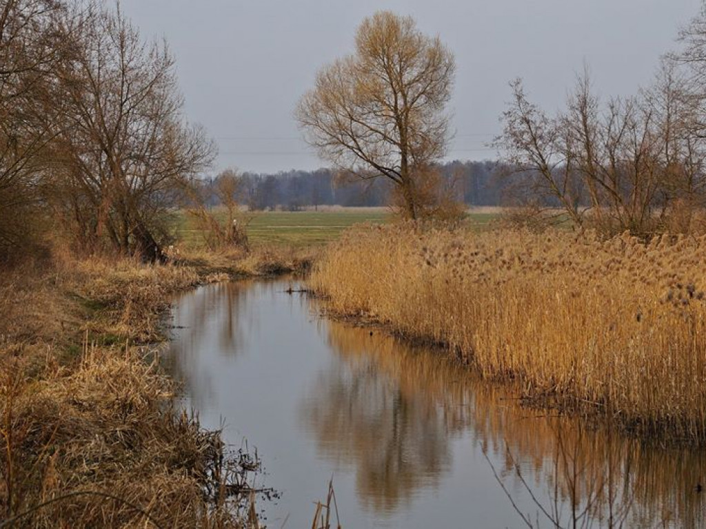 Borowe nad Bystrzycą - zdjęcia