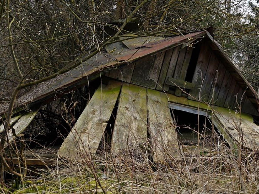 Borowe nad Bystrzycą - zdjęcia