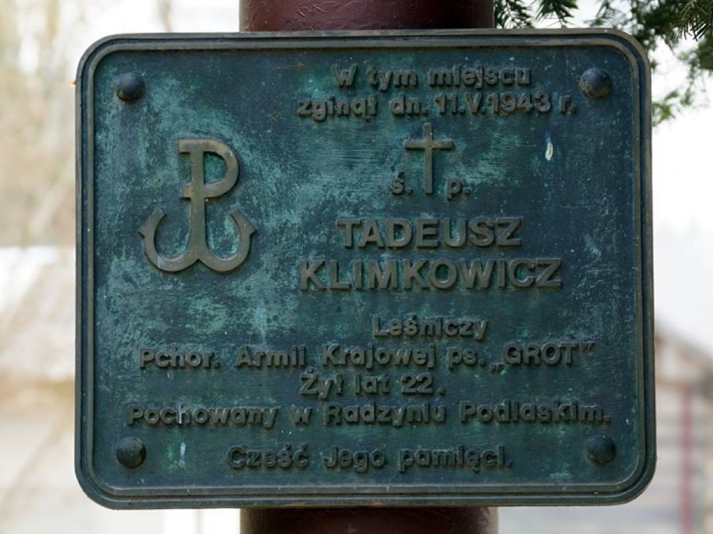 Borowe nad Bystrzycą - zdjęcia