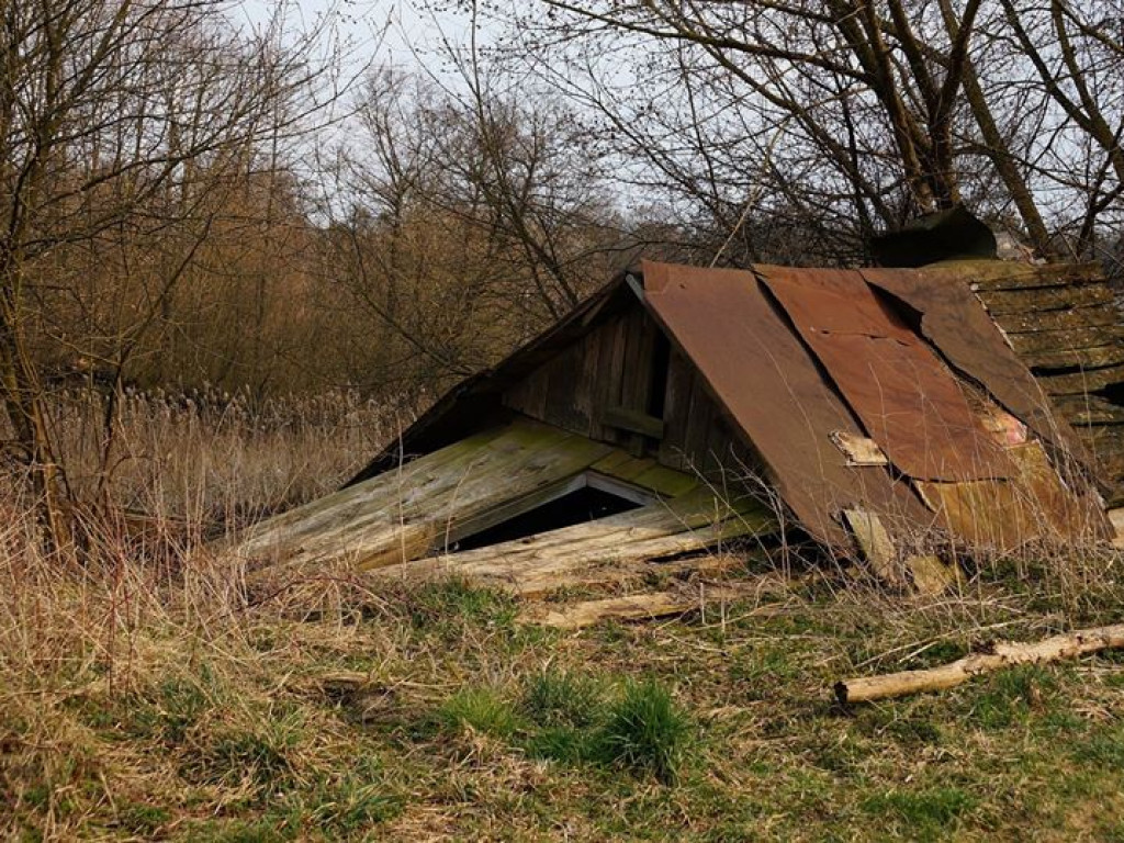 Borowe nad Bystrzycą - zdjęcia