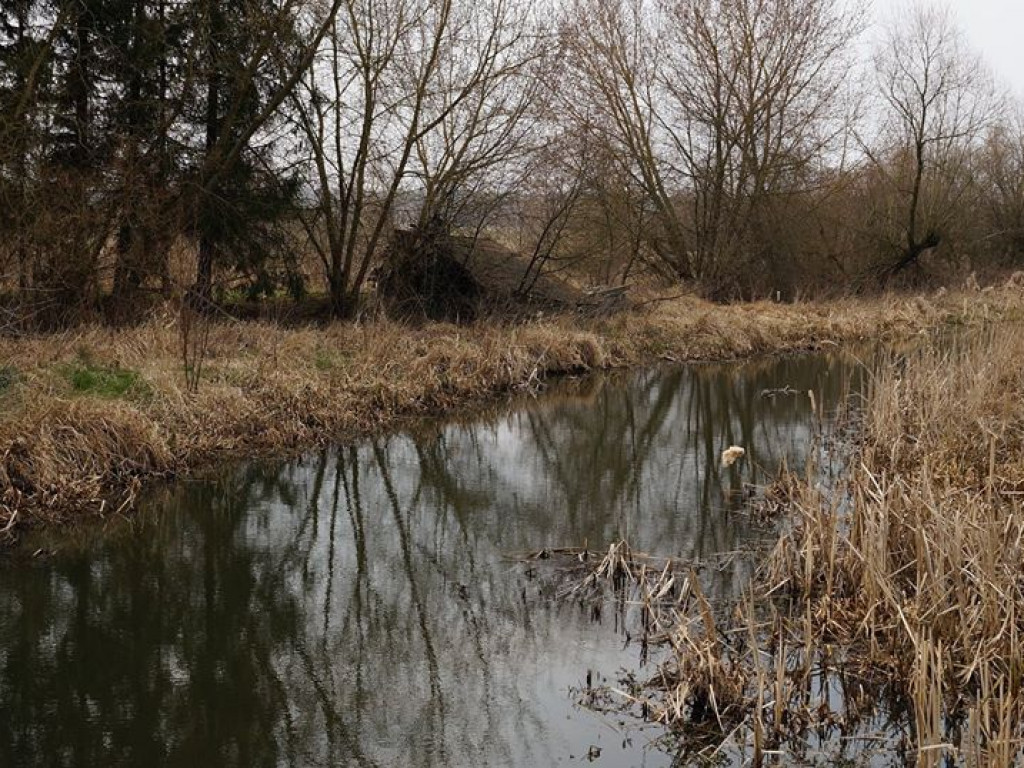 Borowe nad Bystrzycą - zdjęcia