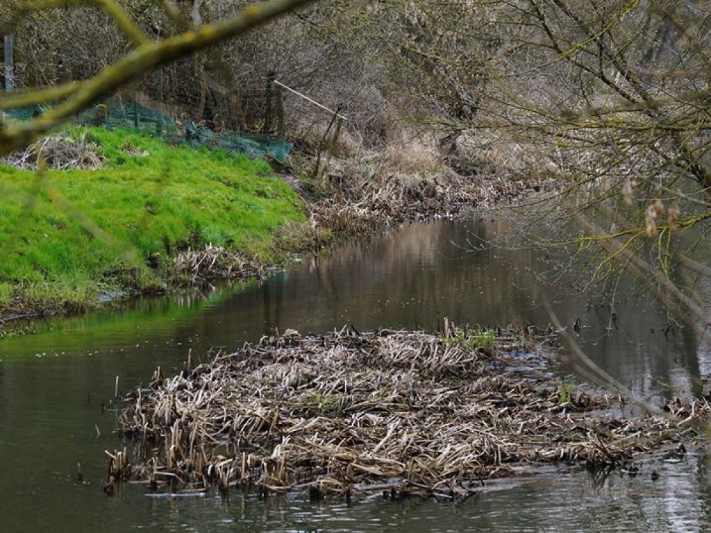Borowe nad Bystrzycą - zdjęcia