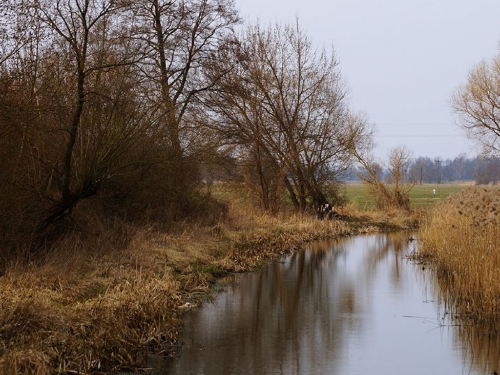 Borowe nad Bystrzycą - zdjęcia