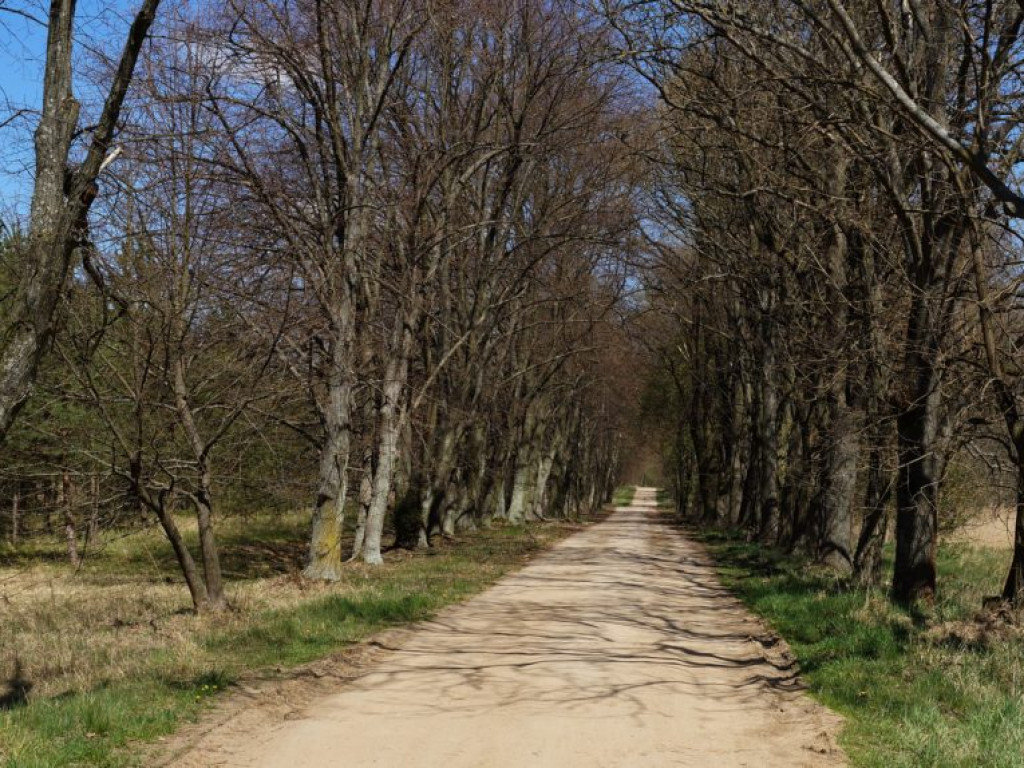 Poleski Park Narodowy - zdjęcia