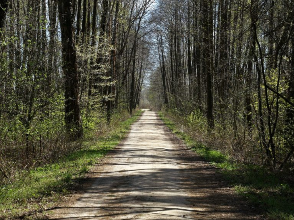 Poleski Park Narodowy - zdjęcia