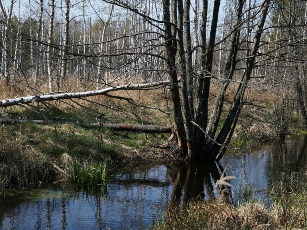 Poleski Park Narodowy - zdjęcia