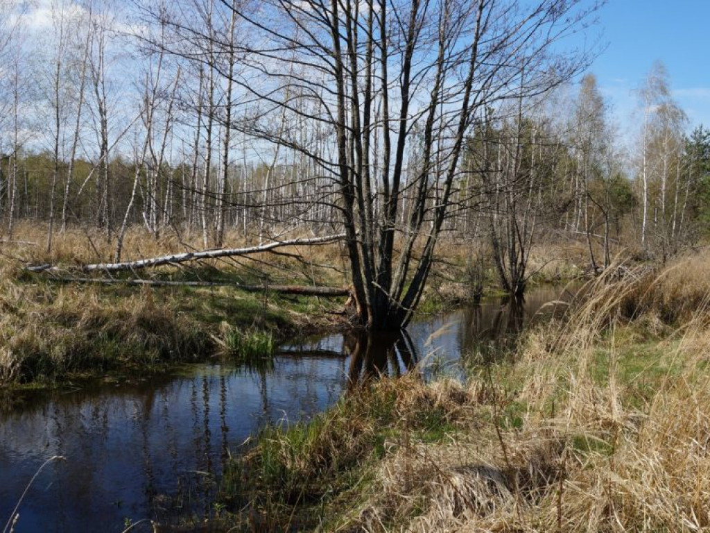 Poleski Park Narodowy - zdjęcia