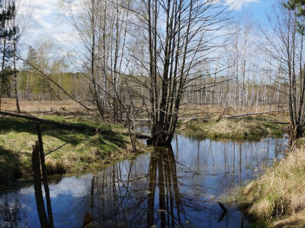 Poleski Park Narodowy - zdjęcia