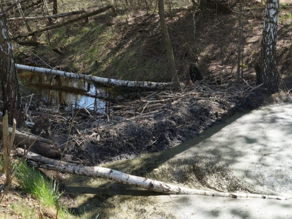 Poleski Park Narodowy - zdjęcia