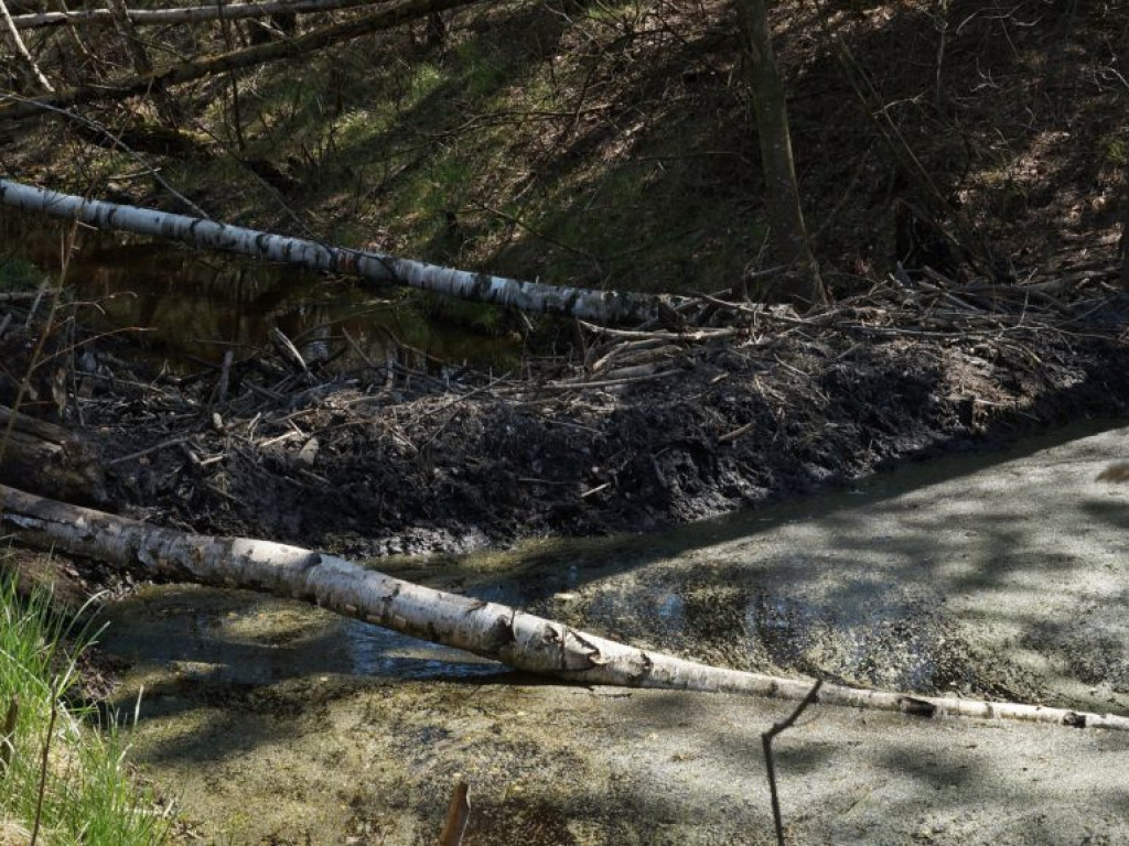 Poleski Park Narodowy - zdjęcia